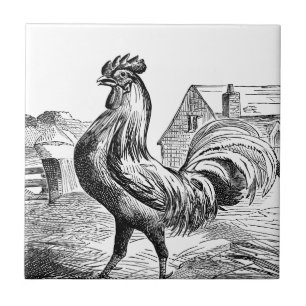 Schattige haan boerderij decor tegel tegeltje