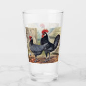 Schattige  haan hen Landglas Glas (Voorkant)