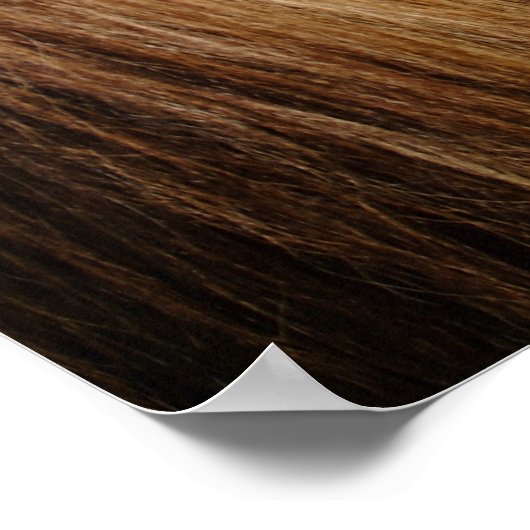 Schattige Haflinger Foal Poster (Hoek)