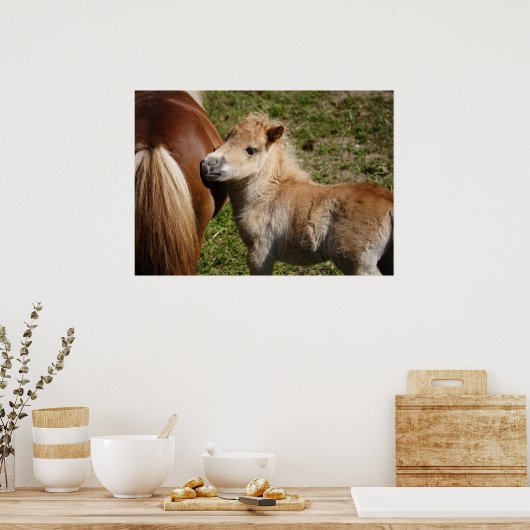 Schattige Haflinger Foal Poster (Keuken)