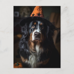 Schattige Halloween Berner Berghond Briefkaart