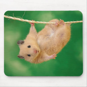 Schattige hamster mousepad muismat