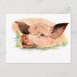 Schattige Happy as a Pig in Mud, Boerderij Dier, H Briefkaart