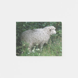 Schattige Hebzuchtige Schaap Eet Post-it-notities Post-it® Notes