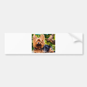 Schattige Hond Aai Yorkie Vrede Liefde Bestemming Bumpersticker