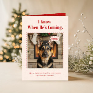 Schattige Hond Grappig Huisdier Familie Foto Kerst Feestdagen Kaart