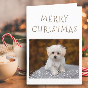 Schattige Hond Huisdier Foto Witte Sterren Prettig Feestdagen Kaart
