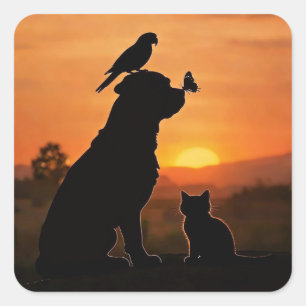 Schattige hond kat vogel en vlinder in zonsonderga vierkante sticker