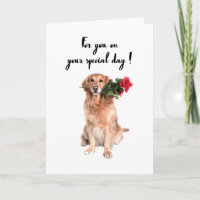 Schattige hond met bloem in de mond, verjaardagska