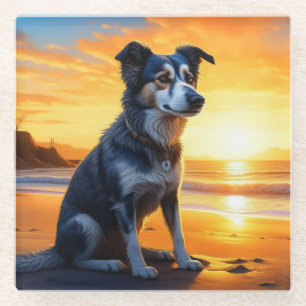 Schattige hond op het strand bij zonsondergang glazen onderzetter