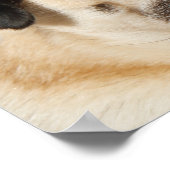 schattige hond poster (Hoek)