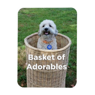 Schattige Honden 4 Hillary Magnet Magneet