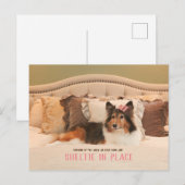 Schattige hondenasiel op zijn plaats | Sheltie Bri Briefkaart (Voorkant / Achterkant)
