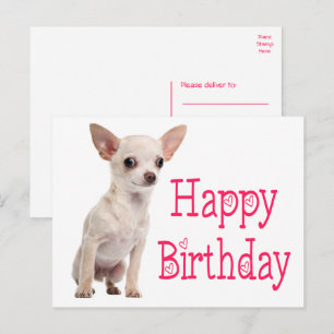 Schattige Hondenpup Grappige Chihuahua Verjaardag Briefkaart