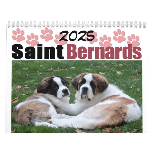 Schattige Hondenras Saint Bernard Puppy Kalender (Hoes)