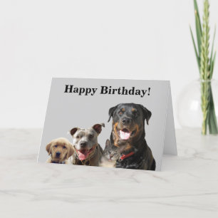 Schattige huisdieren van de Gang Birthday Kaart