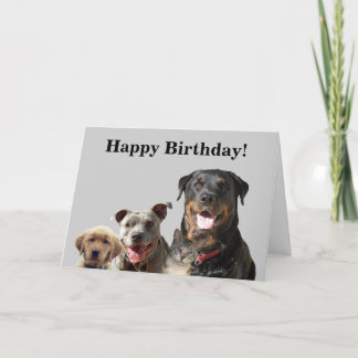 Schattige huisdieren van de Gang Birthday Kaart