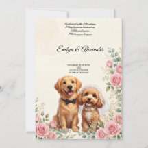 Schattige huwelijks honden