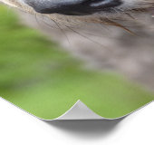 Schattige Ierse Wolfhound Poster (Hoek)