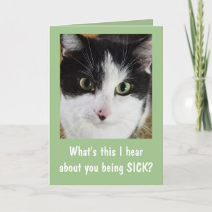 Schattige Kat Beterschap Kaart