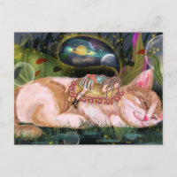 Schattige Kat
