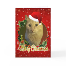 Schattige kat in Kerstmis in Santa Hat