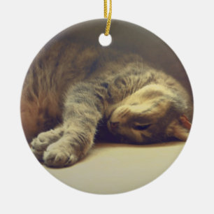 Schattige kat keramisch ornament