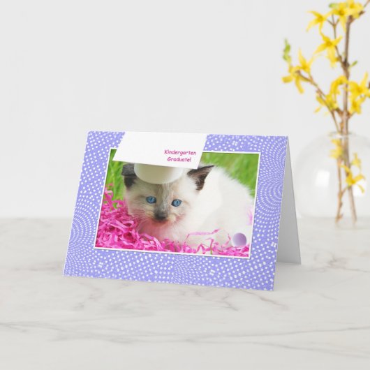 Schattige Kat Kindergarten Afstuderen Gefeliciteer Kaart (Gele Bloem)
