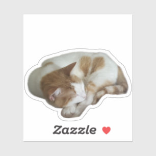 Schattige kat met gebroken hart sticker