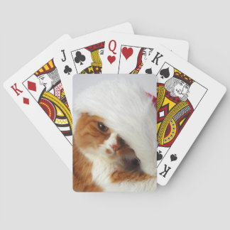 Schattige kat met kerstmuts speelt kaarten