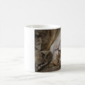 Schattige Kat Morph Mok (Center)