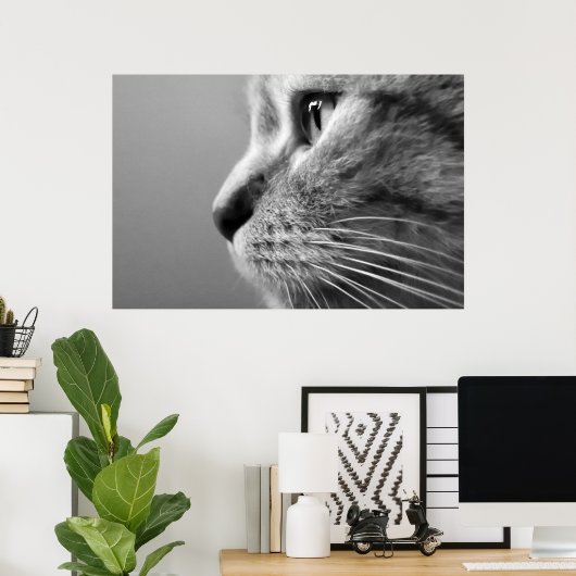 schattige kat poster (Thuiskantoor)