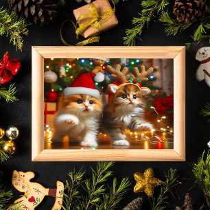 Schattige katjes met kerstman en rendierhoeden 1 poster