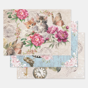 schattige katjes zittend in een kist Bloemen Inpakpapier Vel