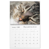 Schattige Katten 2022 Kalender (Jan 2027)