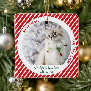 Schattige Katten Eerste Kerstmis Festive Aandenken Keramisch Ornament