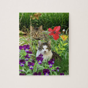 Schattige katten in de tuin legpuzzel