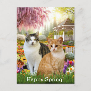 Schattige katten zittend in de tuin briefkaart