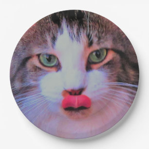Schattige kattenkat met roze tongschoppen papieren bordje