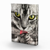 Schattige kattenportretfotoblok fotoblokken (Rechts)