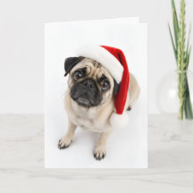 Schattige Kerst Hertenbruine Pug Kerstman Hoed Pup