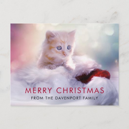 Schattige Kerst Kitten Vakantie Briefkaart (Voorkant)