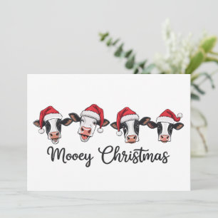 Schattige Kerst Koeien Mooey Kerst Vaarskoe Highla Feestdagenkaart