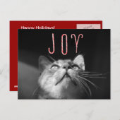 Schattige kerstkat feestdagenkaart (Voorkant / Achterkant)