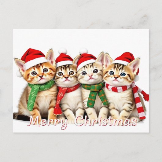 Schattige Kerstkatten Pet Lover Briefkaart (Voorkant)