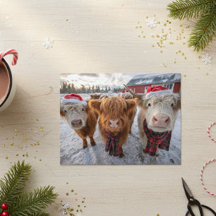 Schattige Kerstmis Hooglanders in de Sneeuw Briefkaart