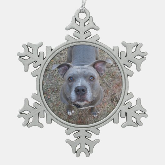 Schattige kerstversiering in Pitbull Tin Sneeuwvlok Ornament (Voorkant)