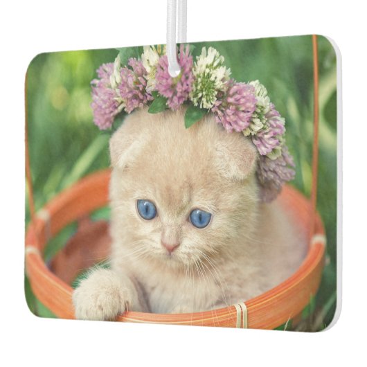 Schattige Kitten Cat Lover Luchtverfrisser (Links)