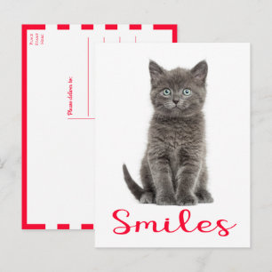 Schattige Kitten Glimlacht, Hallo, Ik Mis Je Grijz Briefkaart