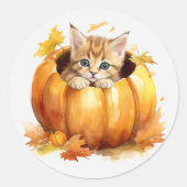 Schattige kitten in pompoen ronde sticker (Voorkant)